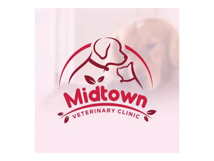 Midtown Vet Clinic