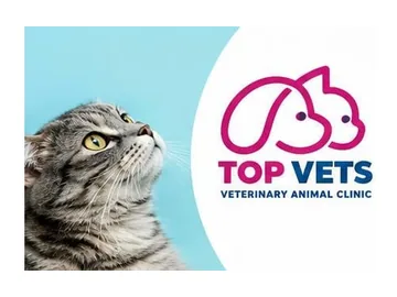 Top vets hurghada